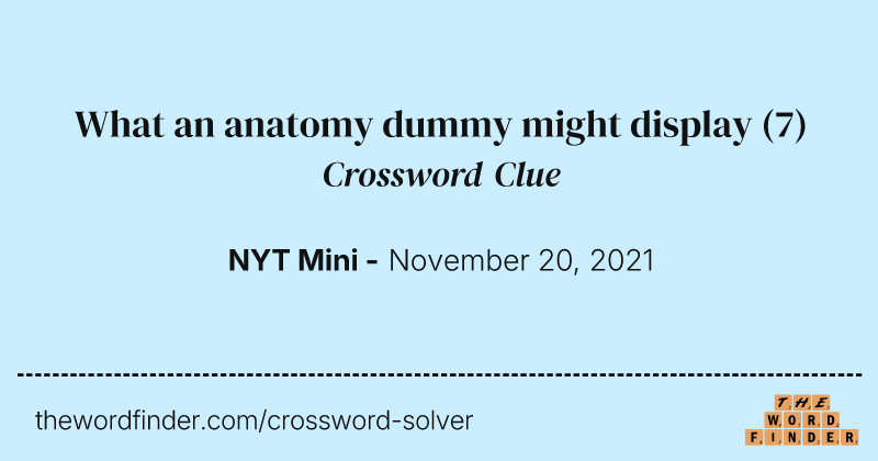 What an anatomy dummy might display crossword clue image