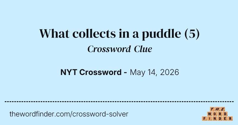 What collects in a puddle — Crossword Clue