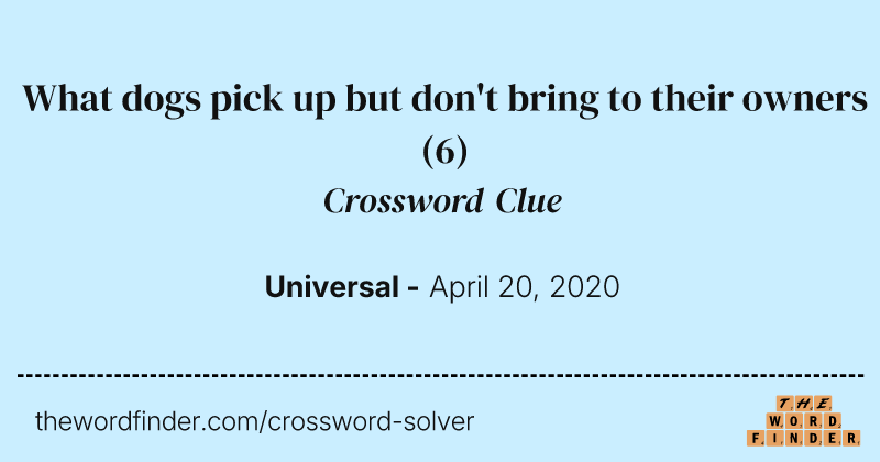 What dogs pick up but don't bring to their owners crossword clue image