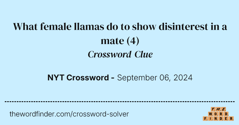 What female llamas do to show disinterest in a mate crossword clue image