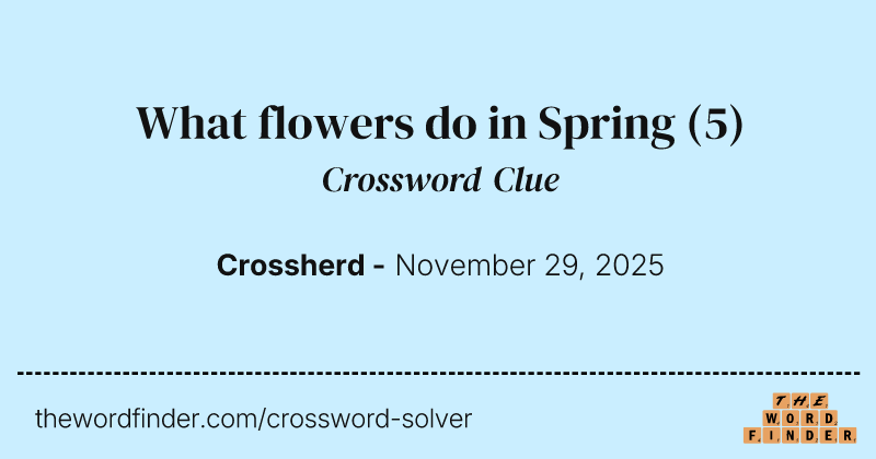 What flowers do in Spring crossword clue image