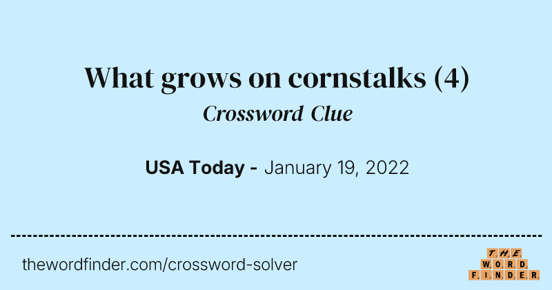 What grows on cornstalks crossword clue image