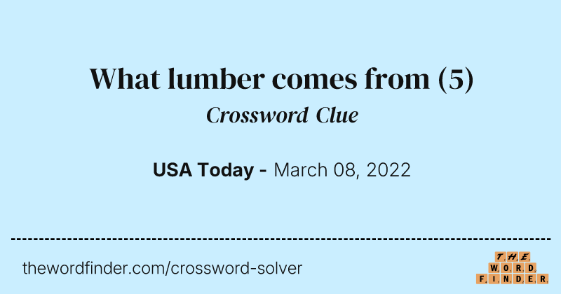 What lumber comes from crossword clue image