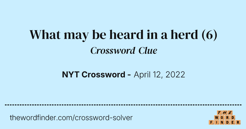 What may be heard in a herd crossword clue image