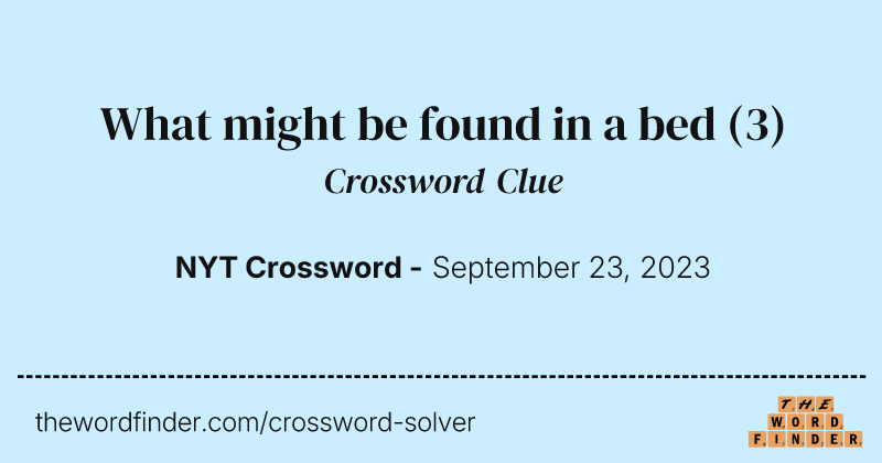 What might be found in a bed crossword clue image