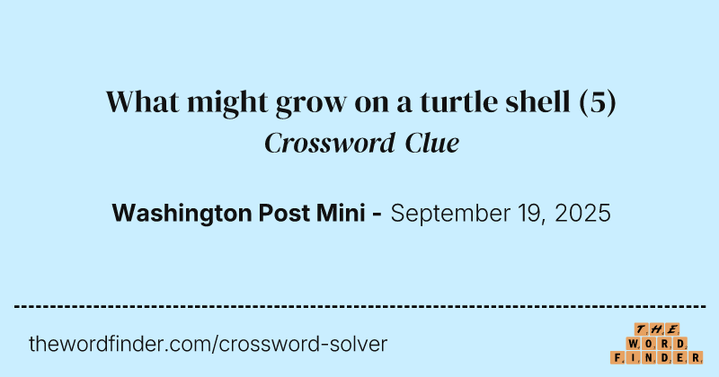 What might grow on a turtle shell crossword clue image