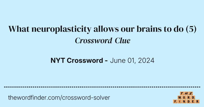 What neuroplasticity allows our brains to do crossword clue image