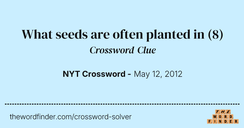 What seeds are often planted in crossword clue image