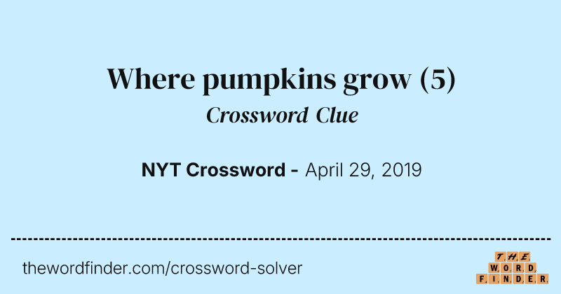 Where pumpkins grow crossword clue image
