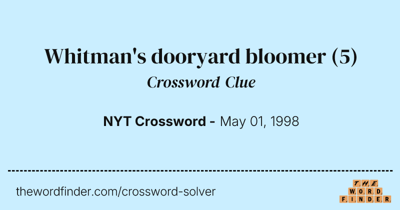 Whitman's dooryard bloomer crossword clue image