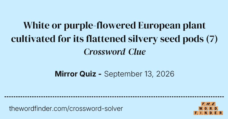 White or purple-flowered European plant cultivated for its flattened silvery seed pods crossword clue image