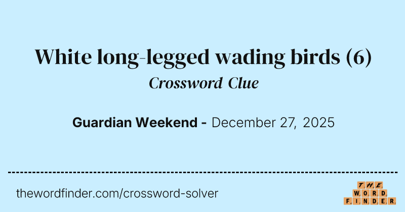 White long-legged wading birds crossword clue image
