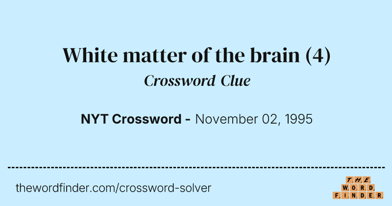 White matter of the brain crossword clue image