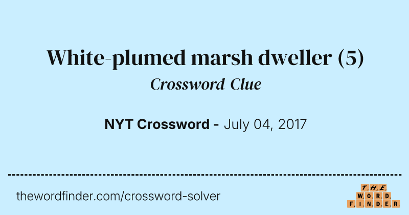 White-plumed marsh dweller crossword clue image