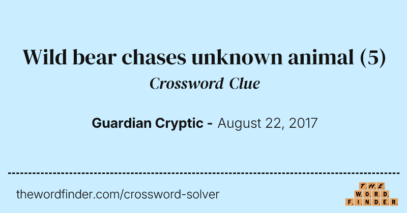Wild bear chases unknown animal crossword clue image