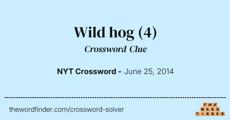 Wild hog crossword clue image