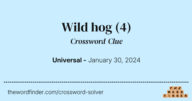 Wild hog crossword clue image