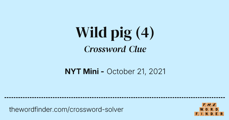 Wild pig crossword clue image