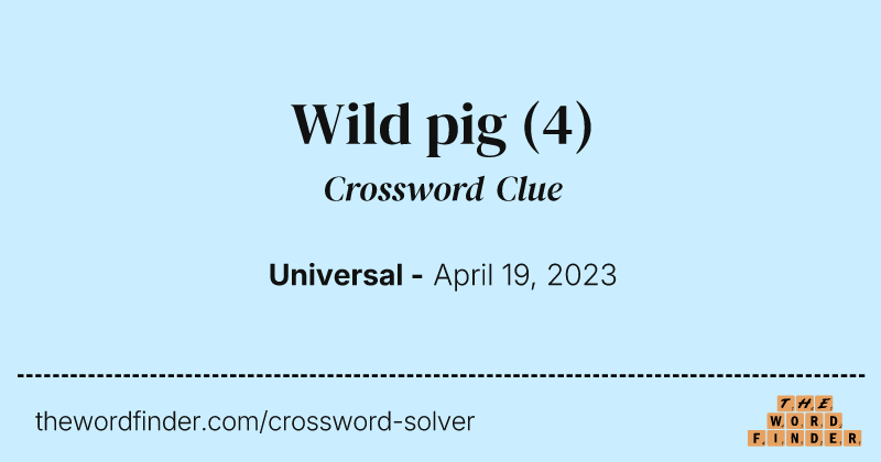 Wild pig crossword clue image