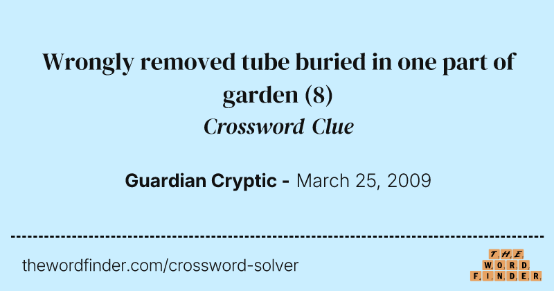 Wrongly removed tube buried in one part of garden crossword clue image