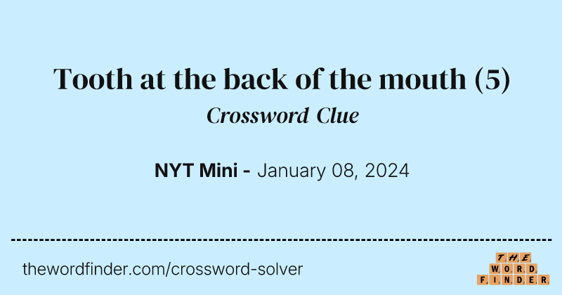 Tooth at the back of the mouth crossword clue image