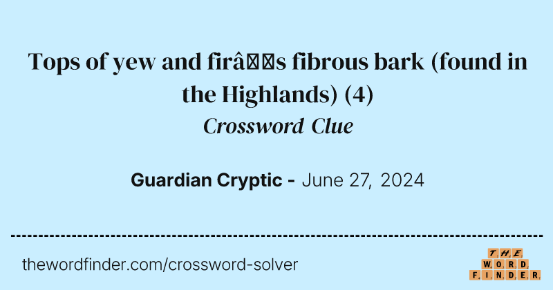 Tops of yew and fir’s fibrous bark (found in the Highlands) crossword clue image