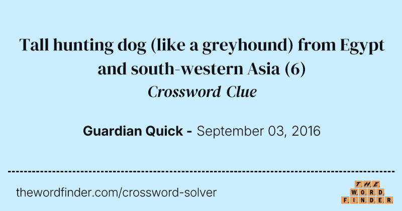 Tall hunting dog (like a greyhound) from Egypt and south-western Asia crossword clue image
