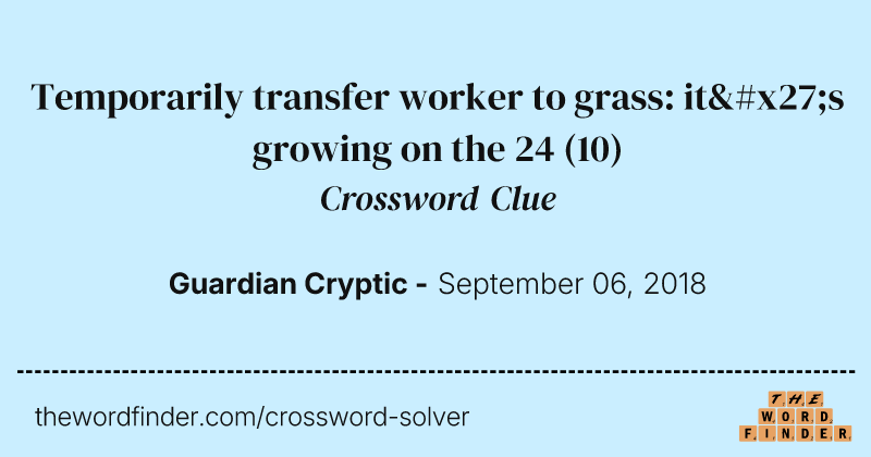 Temporarily transfer worker to grass: it's growing on the 24 crossword clue image
