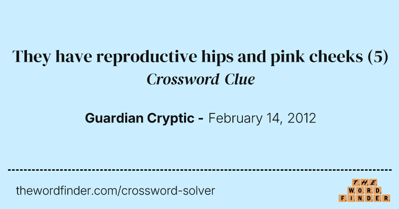 They have reproductive hips and pink cheeks crossword clue image