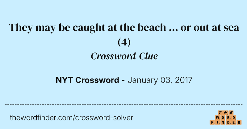 They may be caught at the beach ... or out at sea crossword clue image