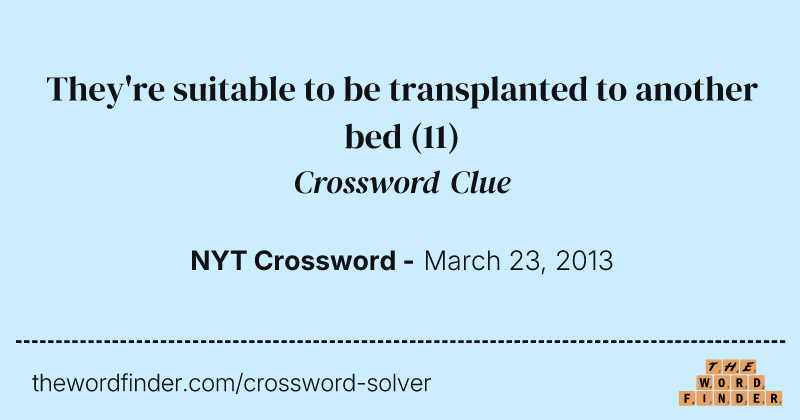 They're suitable to be transplanted to another bed crossword clue image