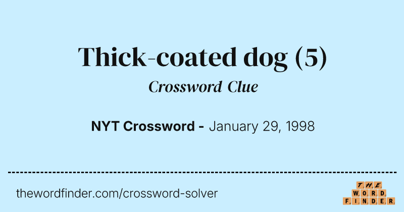 Thick-coated dog crossword clue image