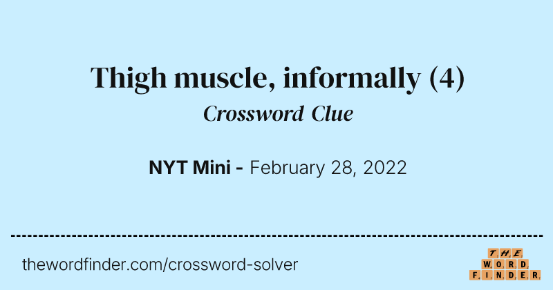 Thigh muscle, informally crossword clue image