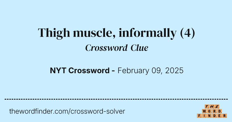Thigh muscle, informally crossword clue image