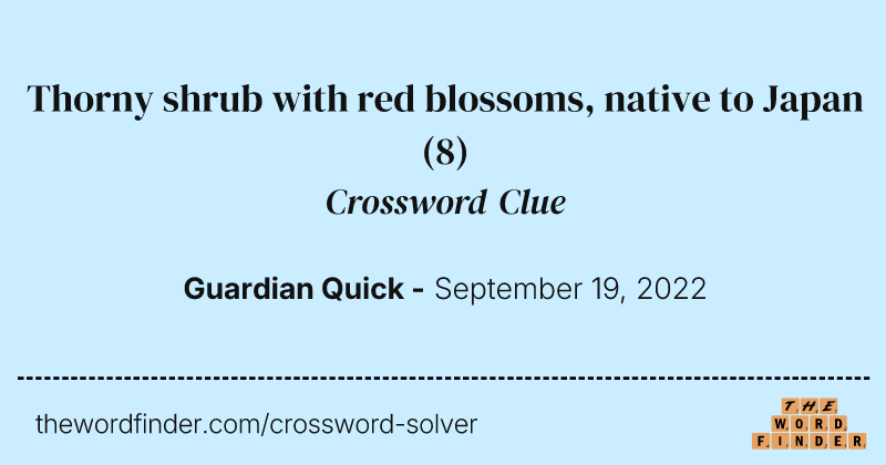 Thorny shrub with red blossoms, native to Japan crossword clue image