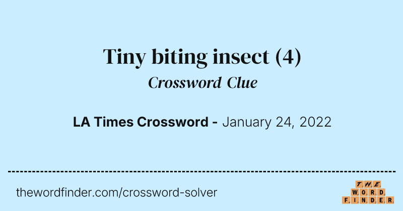 Tiny biting insect crossword clue image