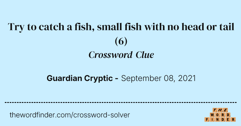 Try to catch a fish, small fish with no head or tail crossword clue image