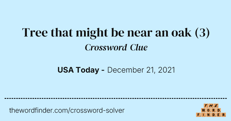 Tree that might be near an oak crossword clue image