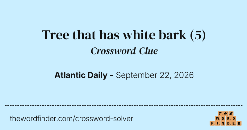 Tree that has white bark crossword clue image