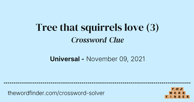 Tree that squirrels love crossword clue image