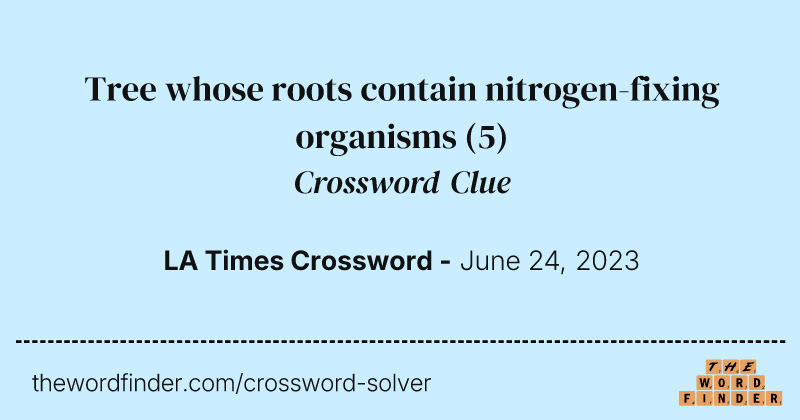 Tree whose roots contain nitrogen-fixing organisms crossword clue image