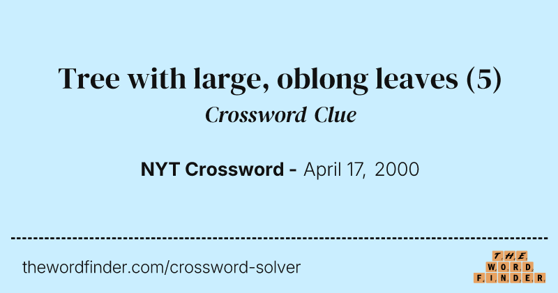 Tree with large, oblong leaves crossword clue image