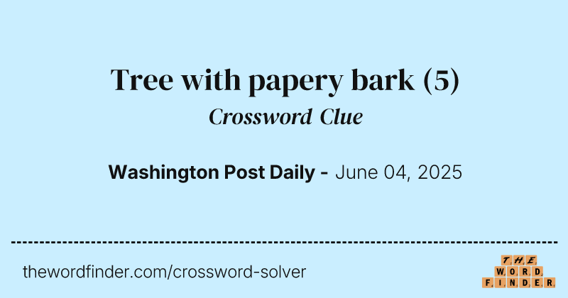 Tree with papery bark crossword clue image