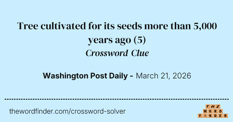 Tree cultivated for its seeds more than 5,000 years ago crossword clue image