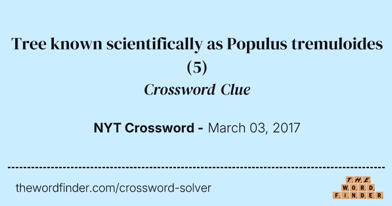 Tree known scientifically as Populus tremuloides crossword clue image