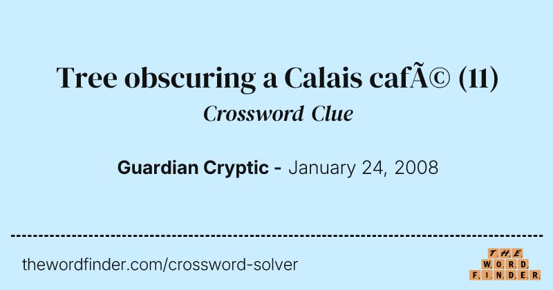 Tree obscuring a Calais café crossword clue image