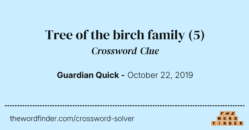 Tree of the birch family crossword clue image