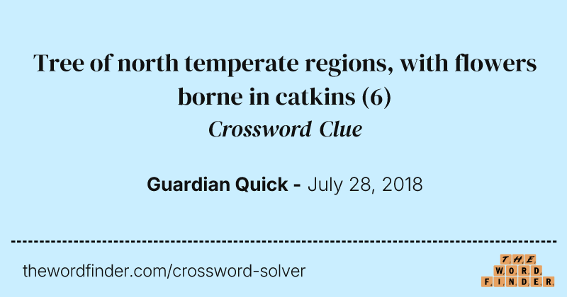 Tree of north temperate regions, with flowers borne in catkins crossword clue image