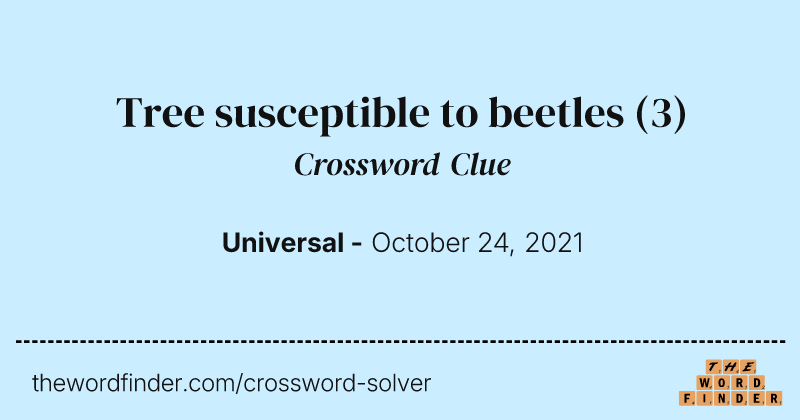 Tree susceptible to beetles crossword clue image