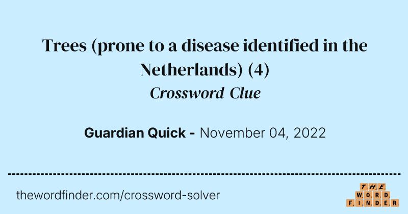 Trees (prone to a disease identified in the Netherlands) crossword clue image